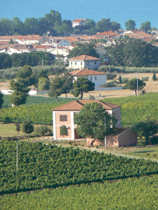 Barba's agriturismo