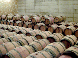 Masciarelli barrel room