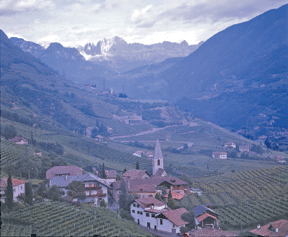 Alto-Adige _Vineyards-above-Bolzano