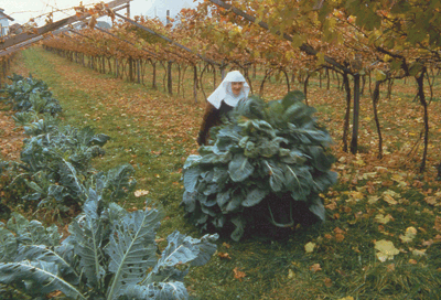 Alto-Adige _nun-wheelbarrow