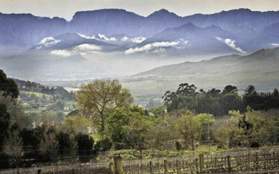 Exploring South Africa’s Cape Winelands