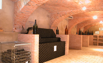 Cogno-cellars