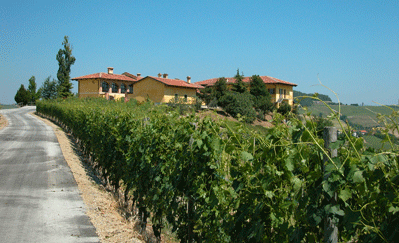 Cogno-winery