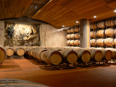 Barrel room at Colle Massari, Maremma, Italy