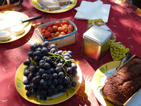 Picnic Domaine de Massereau