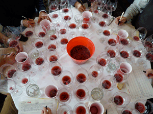 2014 PINOT NOIR SUMMIT