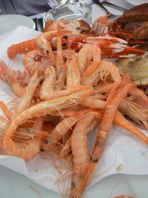 Romerijo shrimp