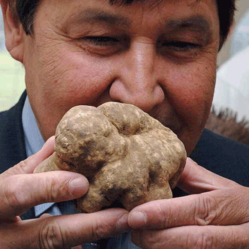 Zigante with a huge white truffle