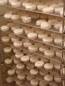 artisinal cheeses