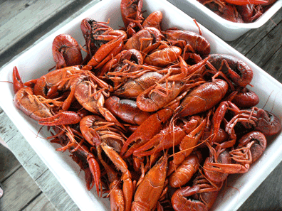 WHERE TO EAT IN CAJUN COUNTRY