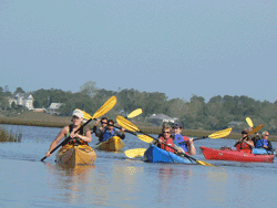 Kayakers