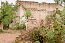 ruins and cacti in Pozos