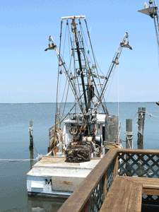 Shrimp boat