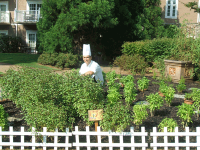 Chef Jaco Smith