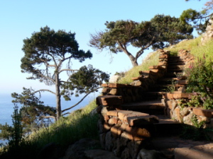 stairway at Timber Cove Inn