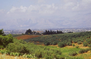 View of Bosco Falconeria.  