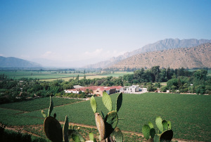 Errazuriz winery in Aconcagua Valley