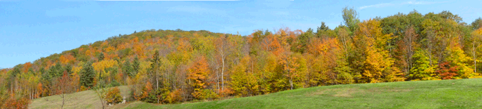 Vermont autumn