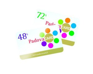 ZPad2 Card-3D