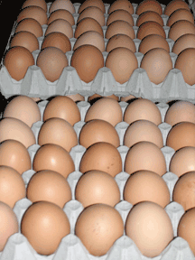 brown eggs, an ingredient of Sacher torte