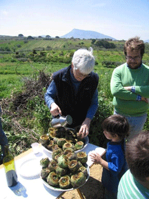 Mary Simeti preparing roast artichokes for the Easter Monday picnic at Bosco.