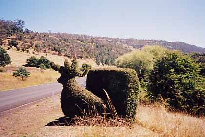 roadside topiary