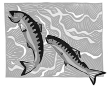 salmon woodcut