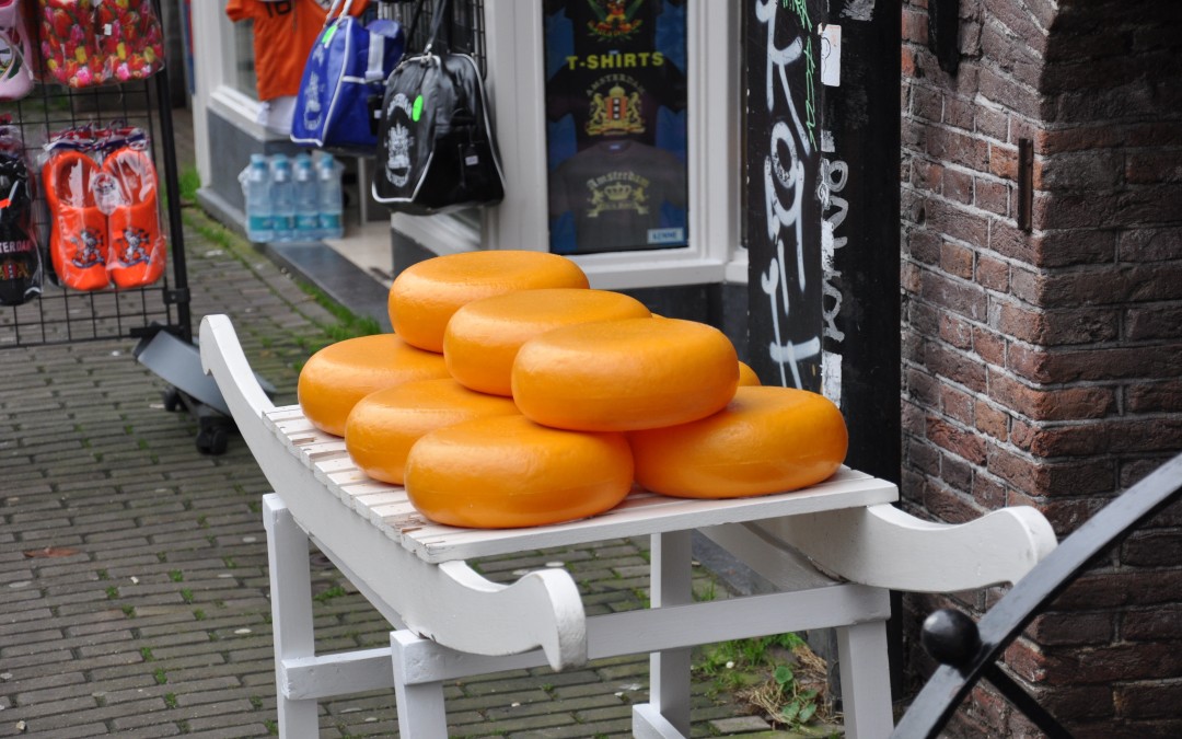 Cheese Tasting at the Reypenaer Tasting Room in Amsterdam