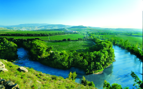 Finca Valpiedra vineyard lies in a crook of the Ebro River