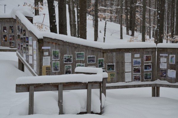 The beautiful Michigan Art Legacy Park