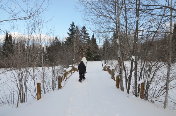 Snowshoeing at Treetops