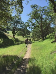 Hiking on Mt. Diablo