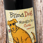 blind_dog