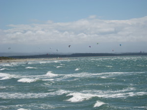 Kite surfers at Tahunanui Beach near Nelson.