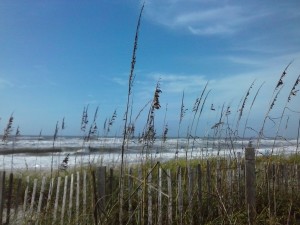 Fence and Sea,Crystal Coast, N.C.