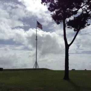 ft macon flag