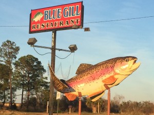 Bluegill Restaurant sign on the Causeway