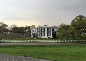 The front exterior of Nottoway Plantation House from across the road standing on top of the levee.
