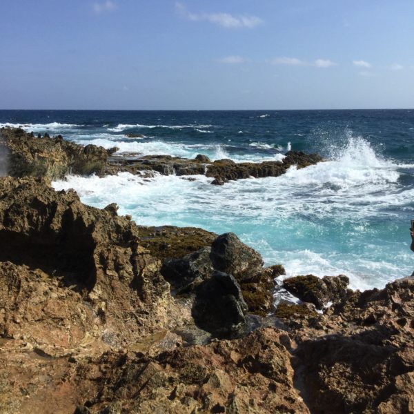 The Wild Windward Coast of Aruba